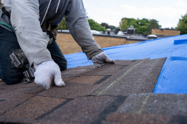 Best Roof Leak Repair  in Vley, AL